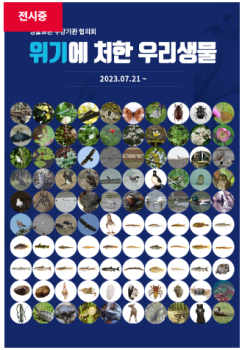 화면 캡처 2025-06-19 114448.png