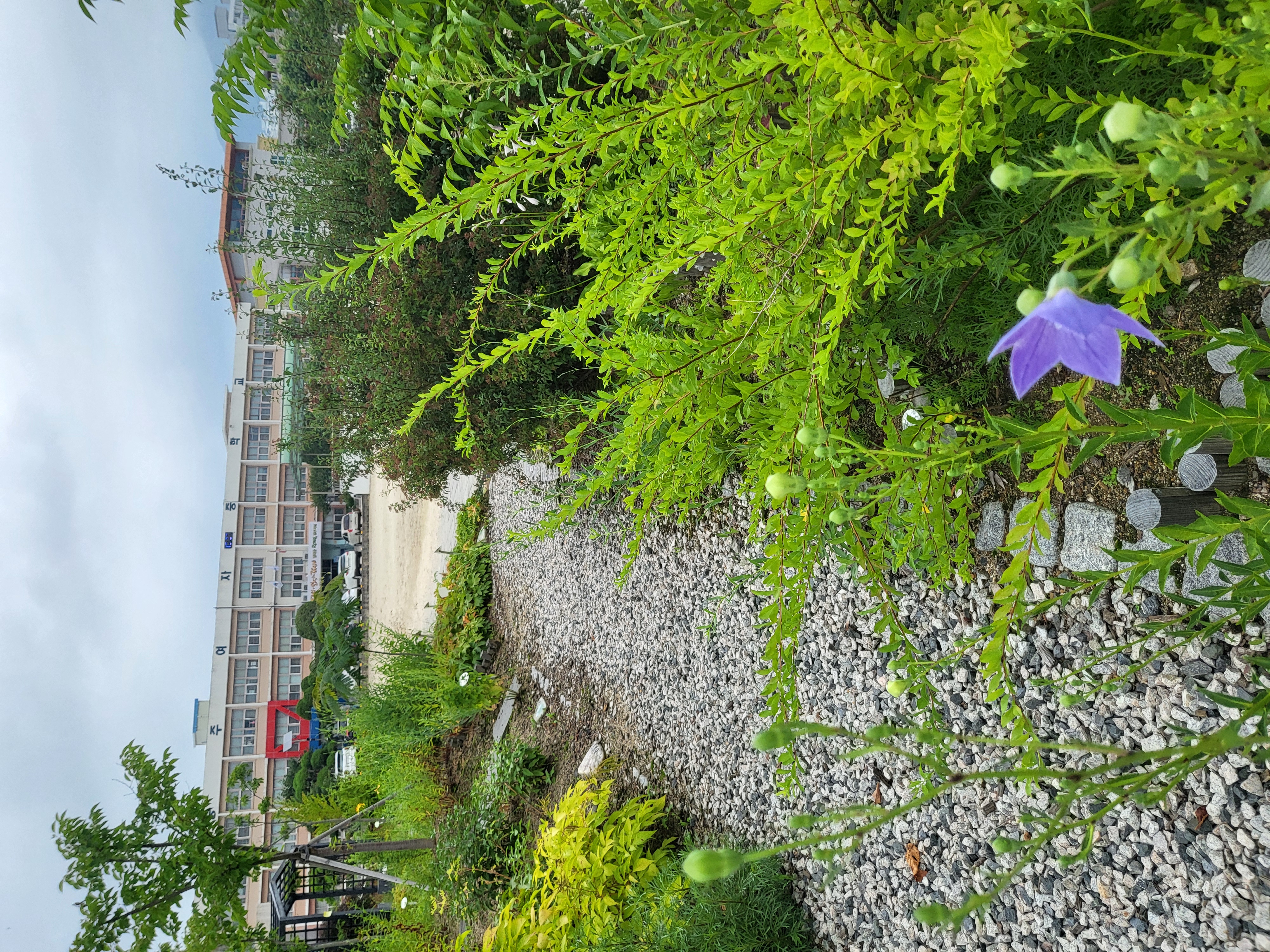 KakaoTalk_20250626_133810421_02.jpg