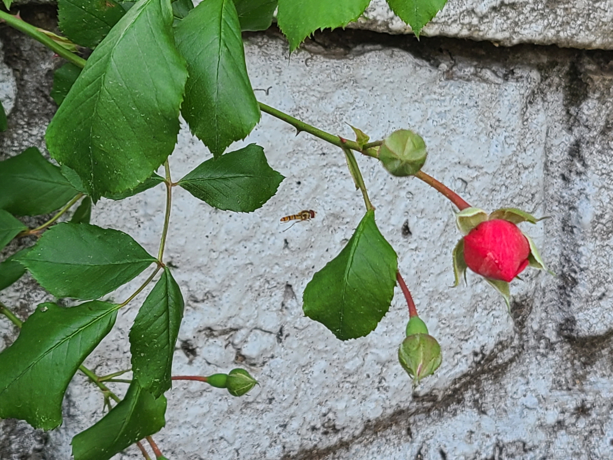 20250530_090935