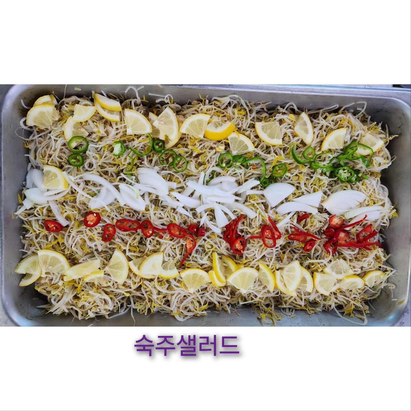 6월 26일 숙주샐러드