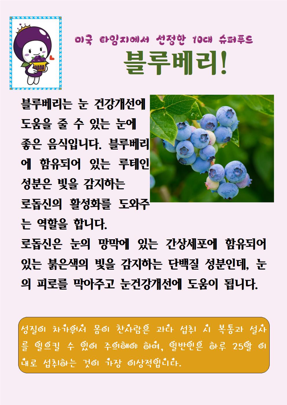 블루베리(6.26.)