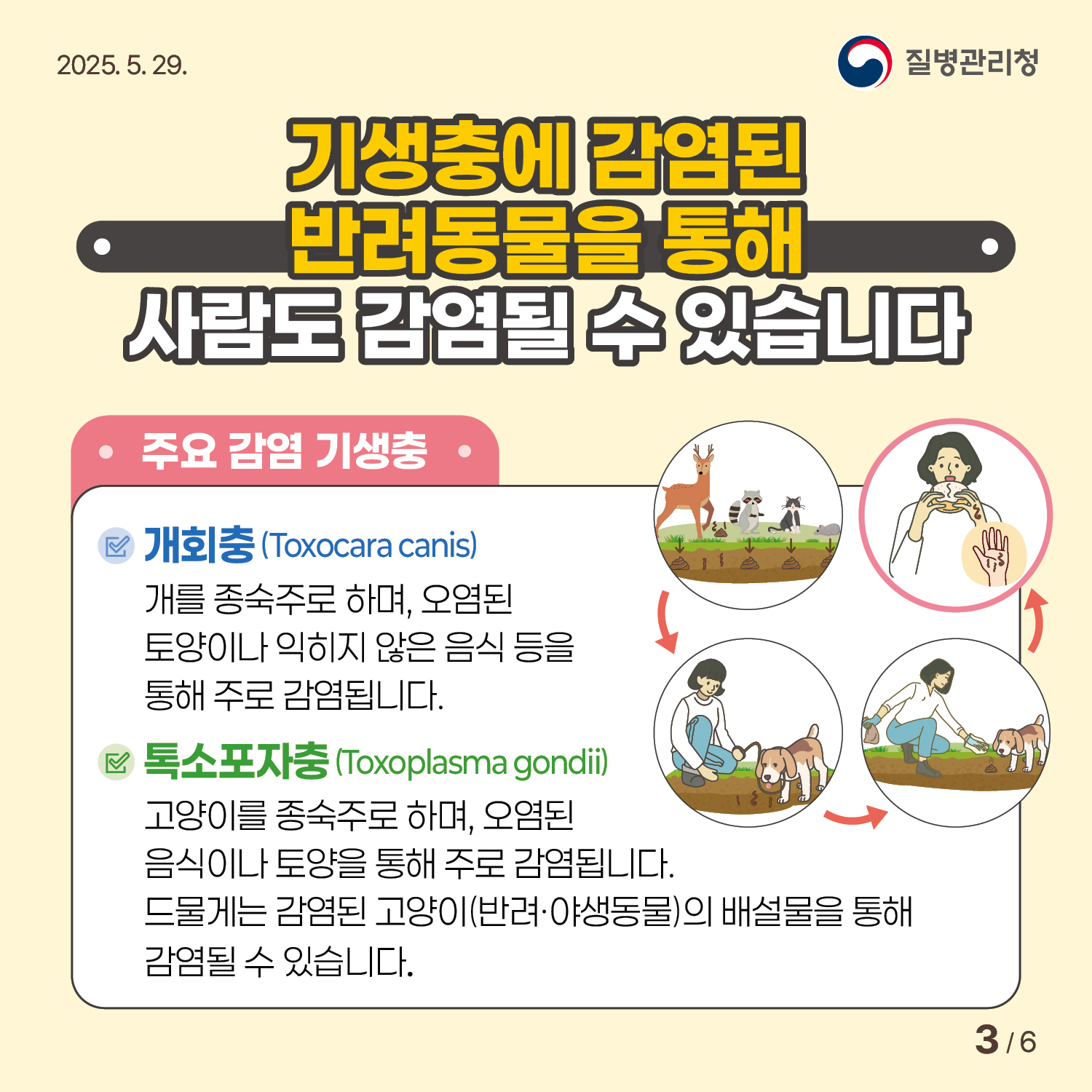 기생충감염병-카드뉴스3