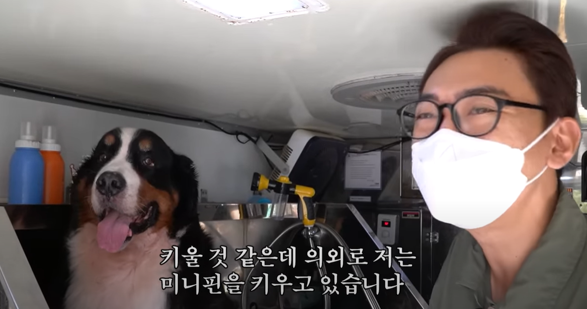 반려견 사업 편