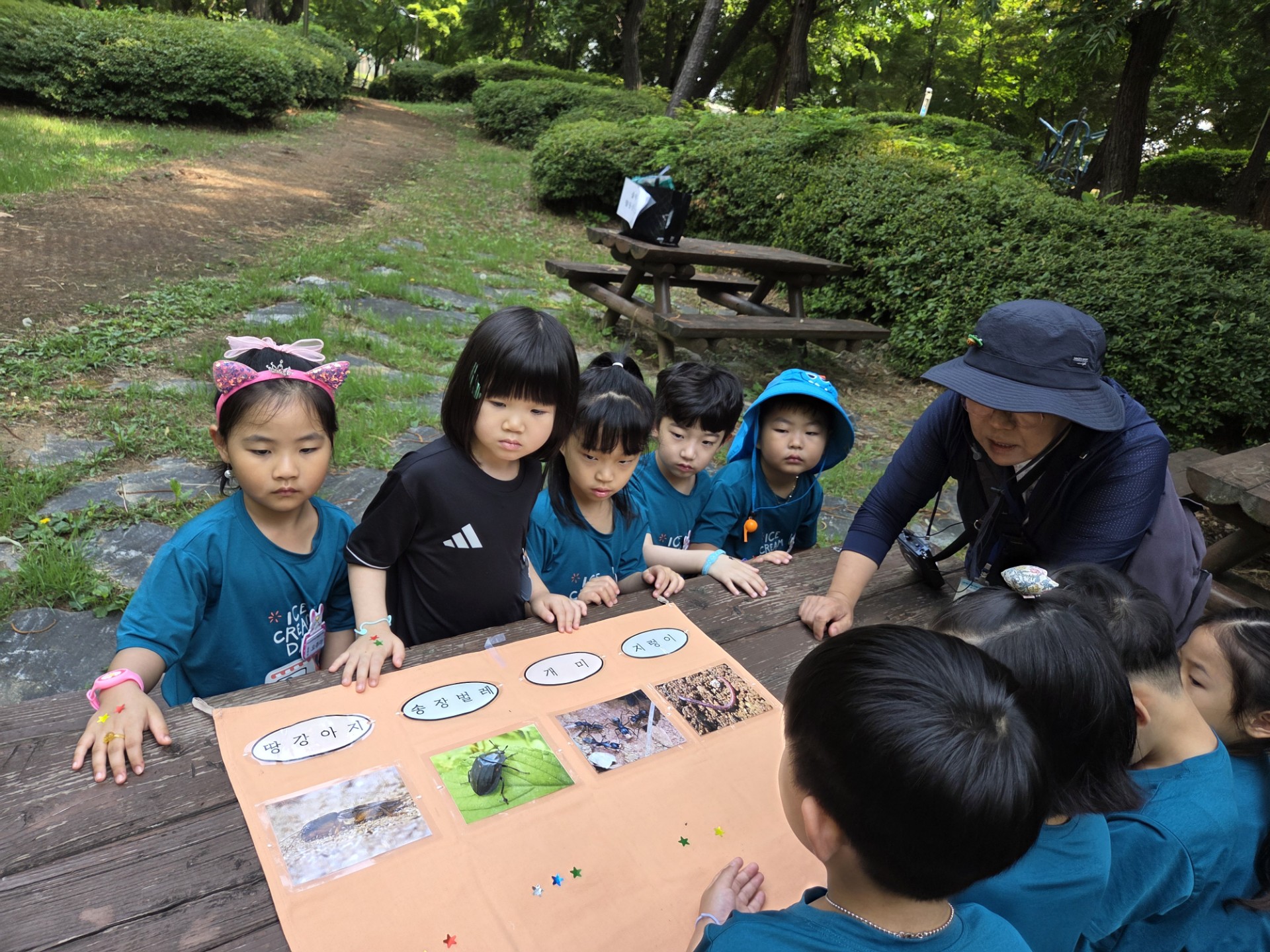 img (3)