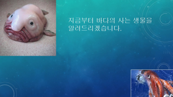 썸네일.jpg