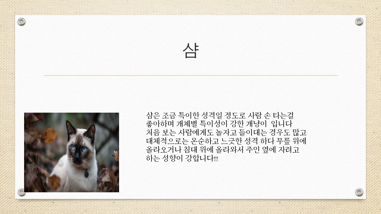 이제부터 고양이 종류를 소개 하셌습니다!!!.jpg