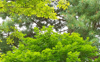 20250627_120008.jpg