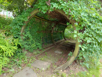 20250627_115650.jpg