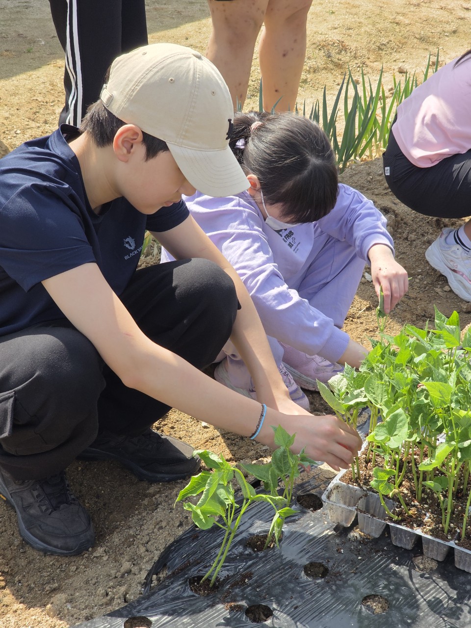 2025. 꽃동네학교 중등-2025. 사회적농업활동-68341670692