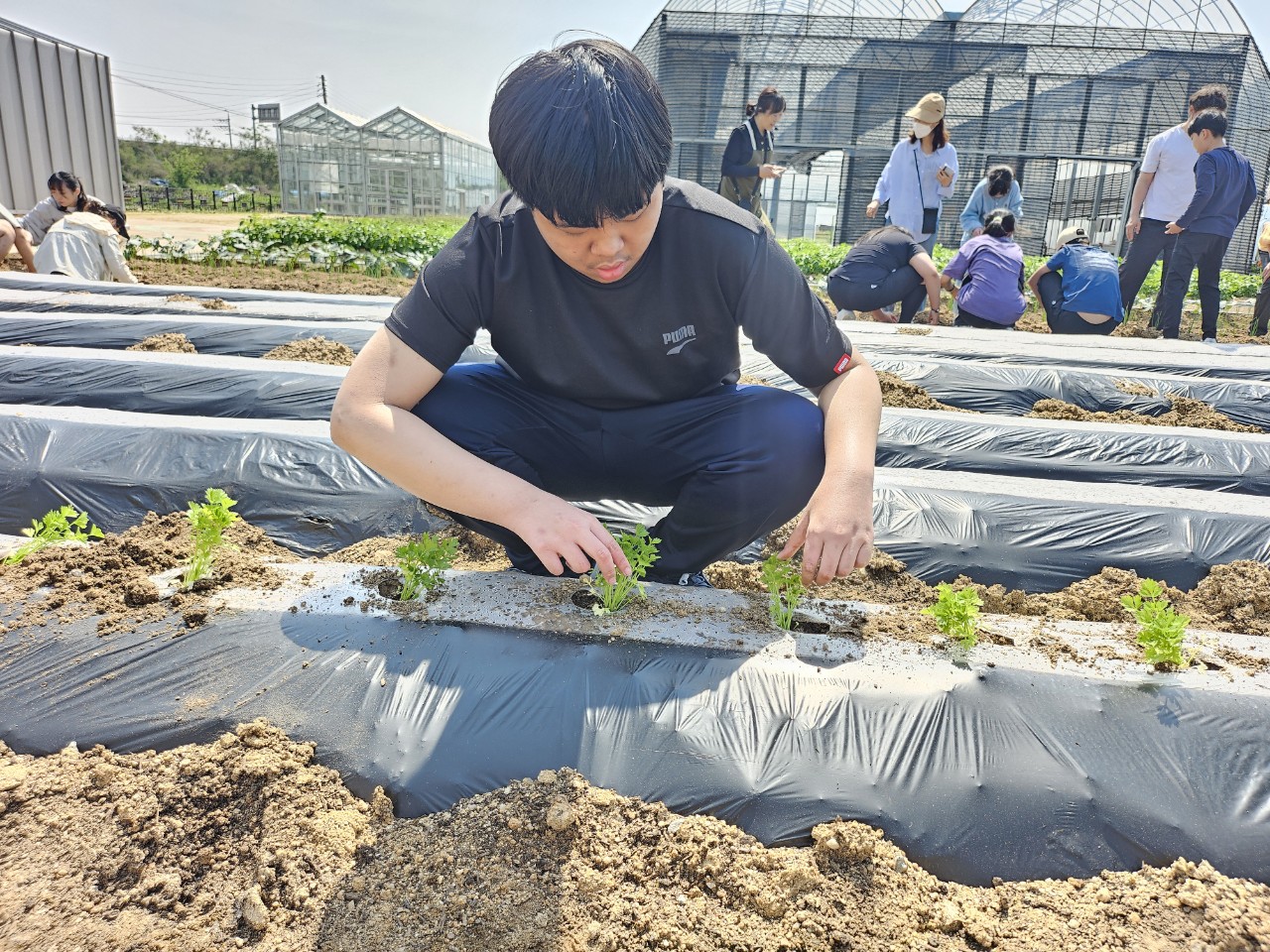 2025. 꽃동네학교 중등-2025. 사회적농업활동-69225211059