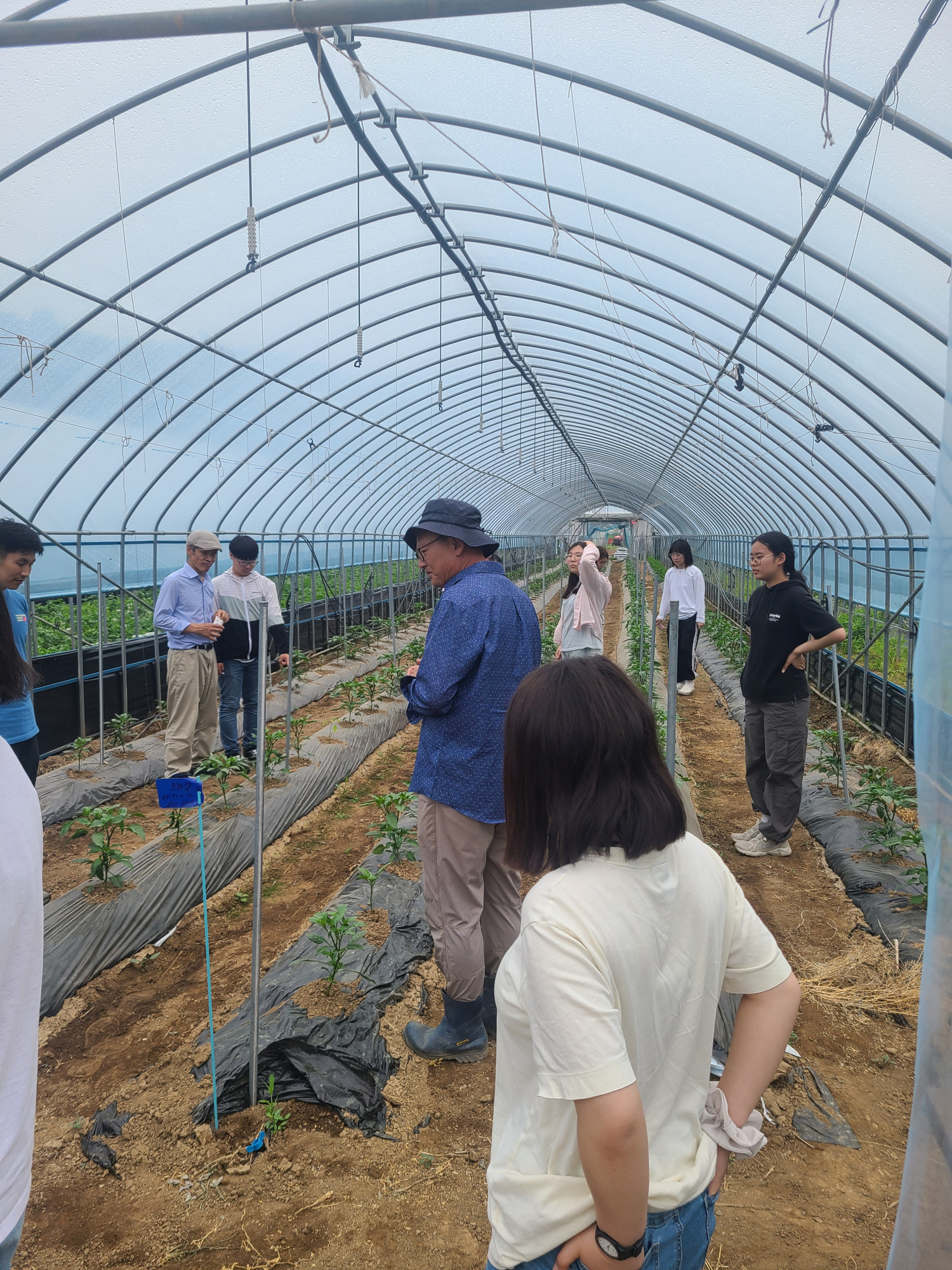 KakaoTalk_20250602_152532929_01