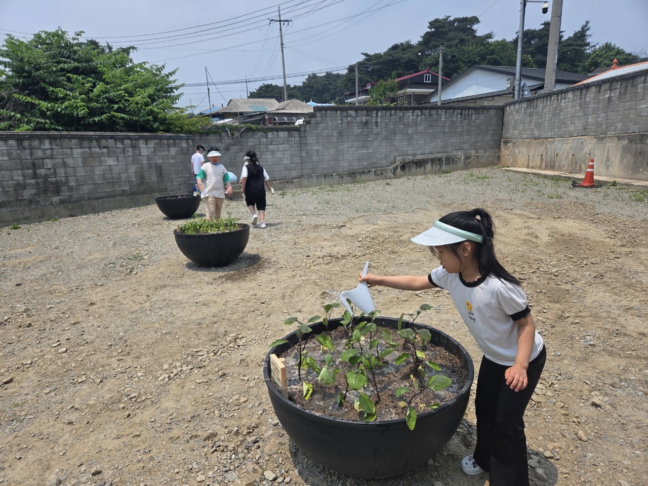 2025. 문상초등학교-학교 텃밭(화분) 체험활동-69301877817