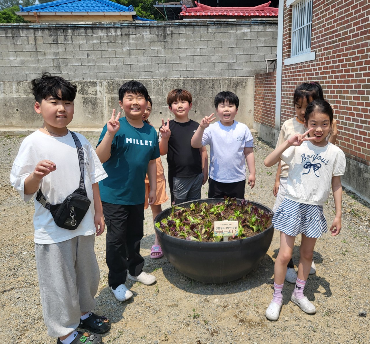 2025. 문상초등학교-학교 텃밭(화분) 체험활동-69297743497