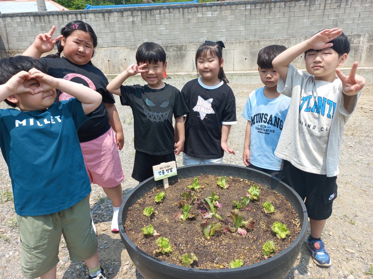 2025. 문상초등학교-학교 텃밭(화분) 체험활동-69249634479