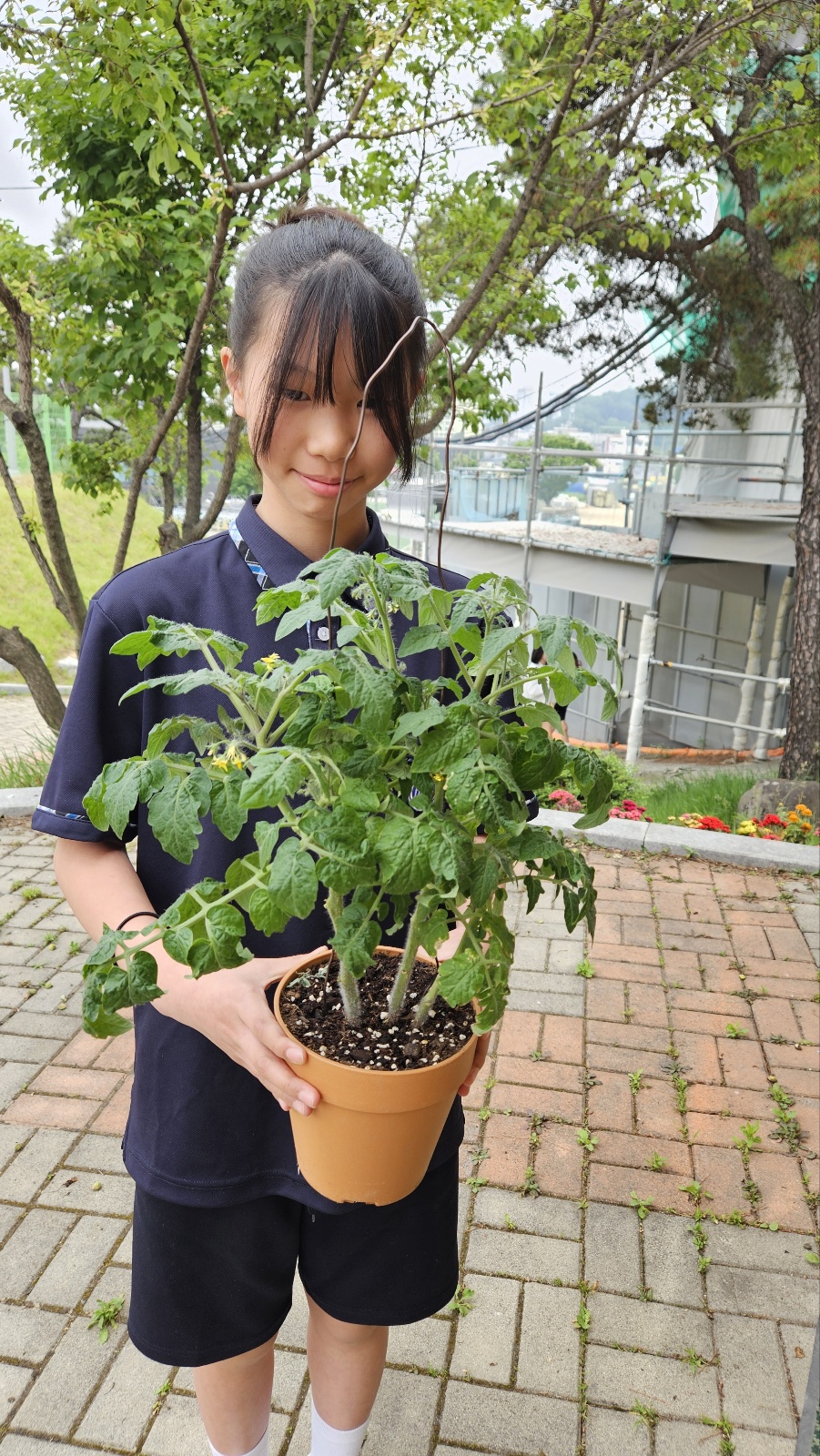 1인1식물 키우기