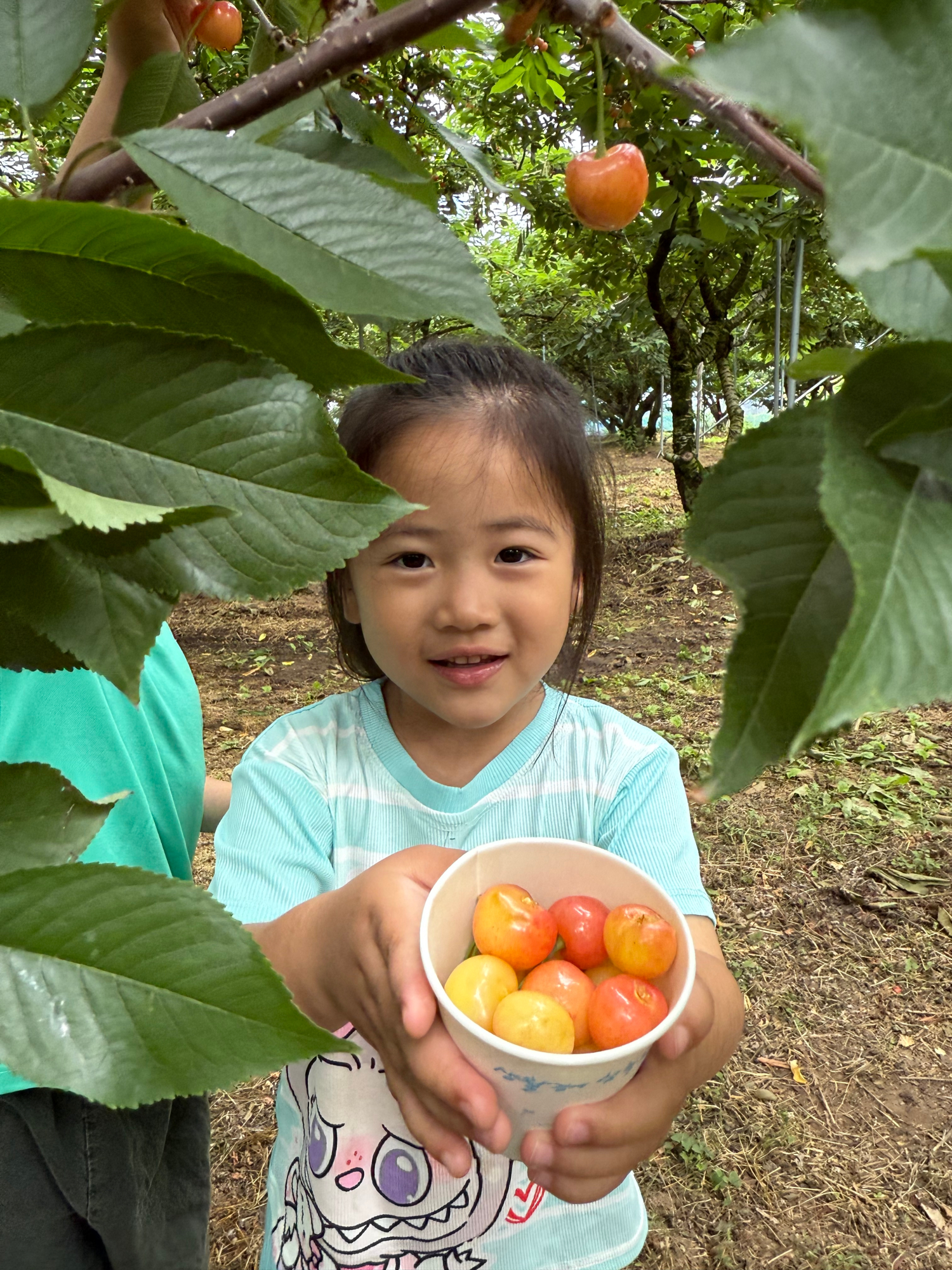 KakaoTalk_20250616_134157194_18
