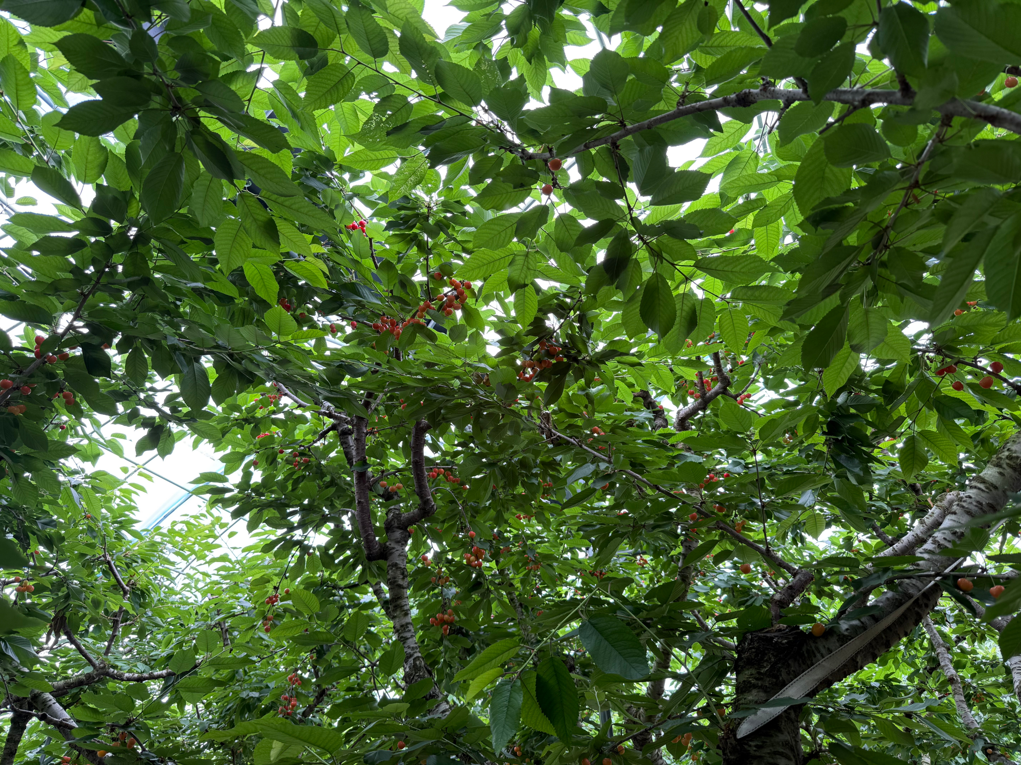 KakaoTalk_20250616_134207898_02