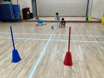 img - 2025-06-23T162657.615.jpg