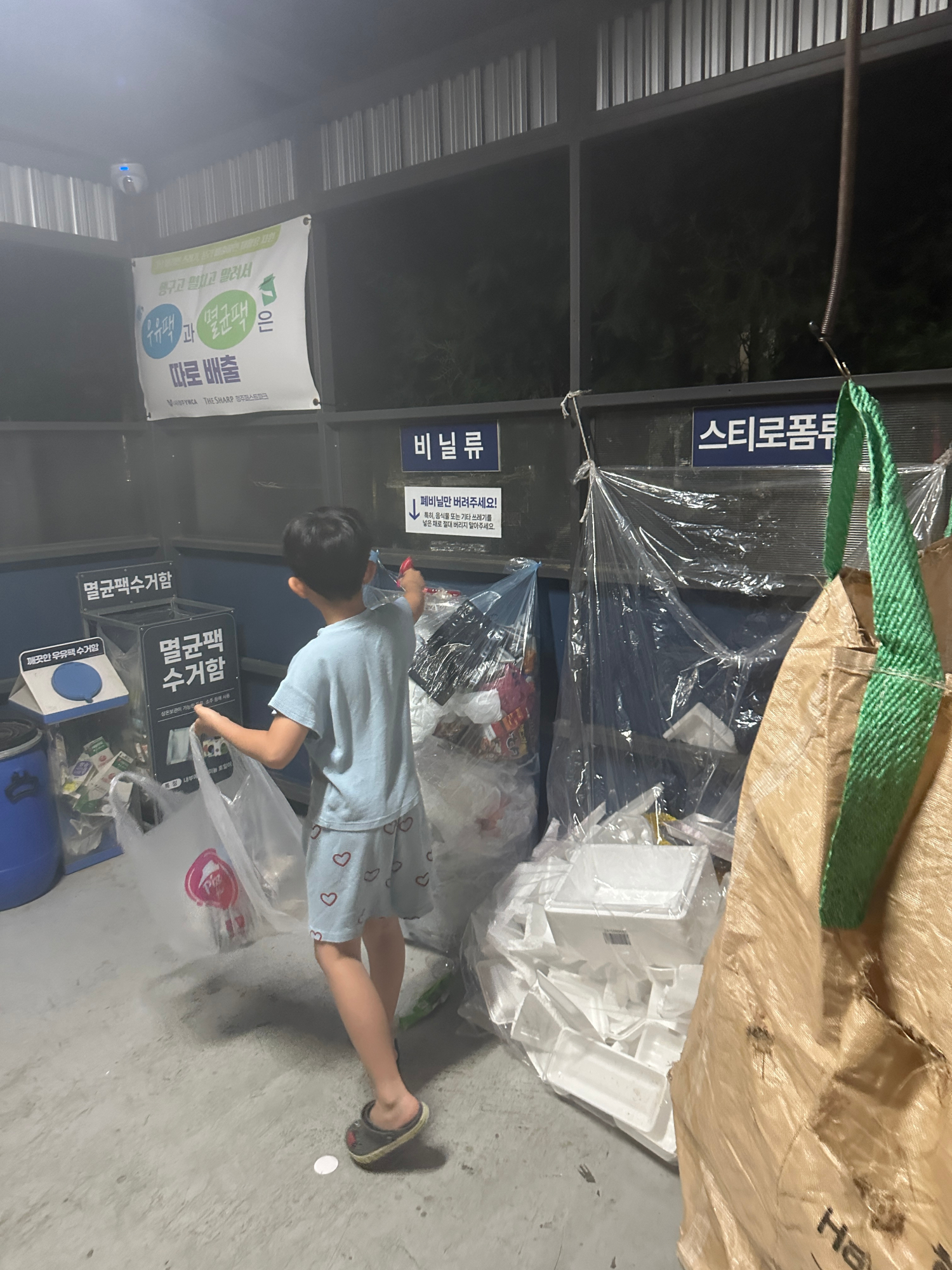 종이도 분류