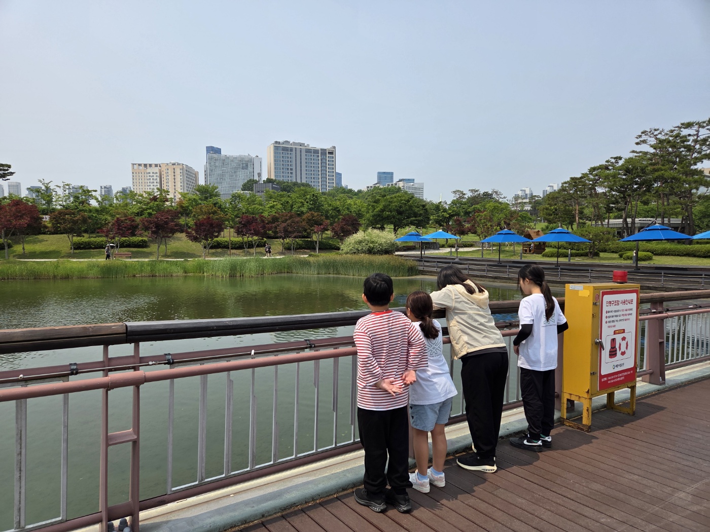 6학년(3)