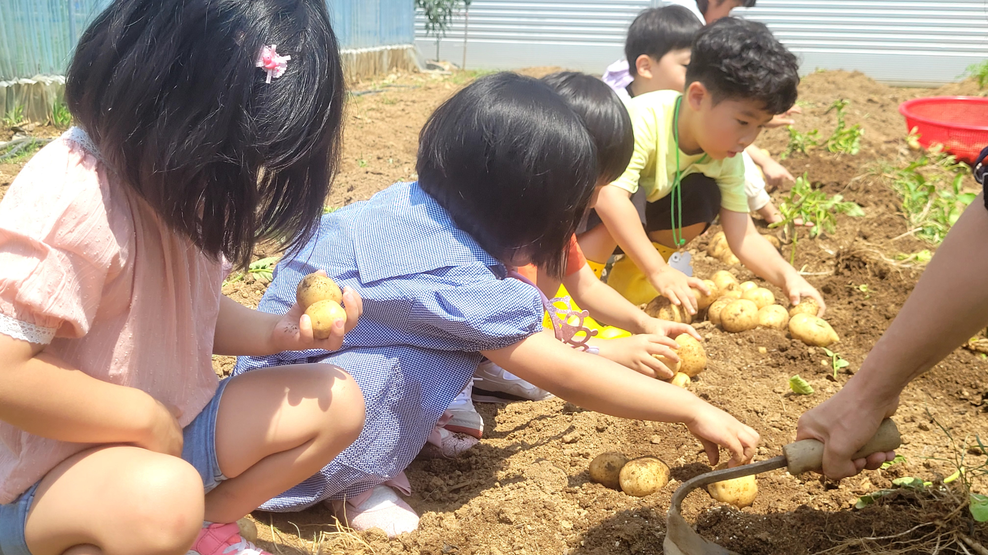 KakaoTalk_20250618_112434201_03