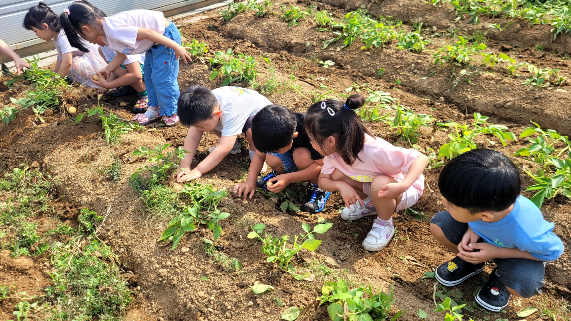 KakaoTalk_20250618_090049797_01