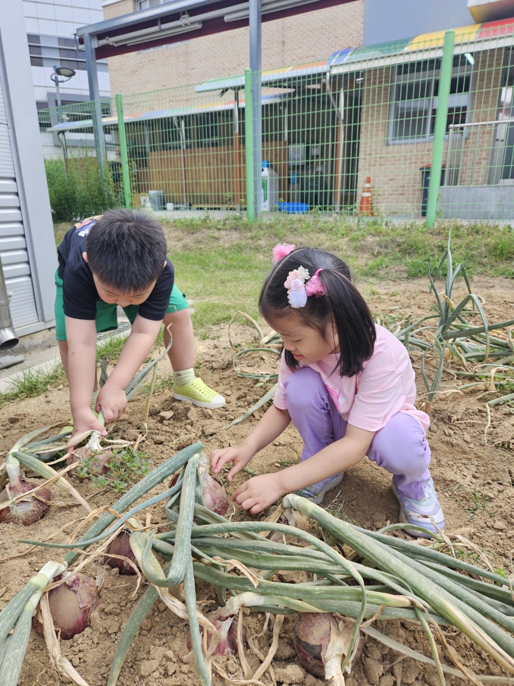 KakaoTalk_20250609_161052159_03 (1)