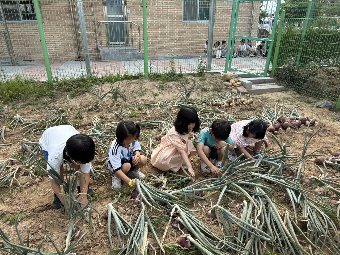 호수반2