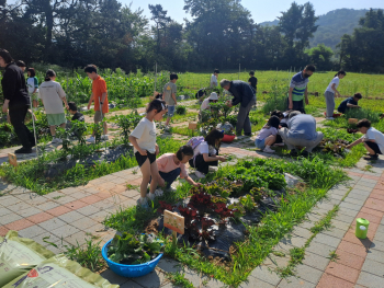 KakaoTalk_20250611_094126134.jpg