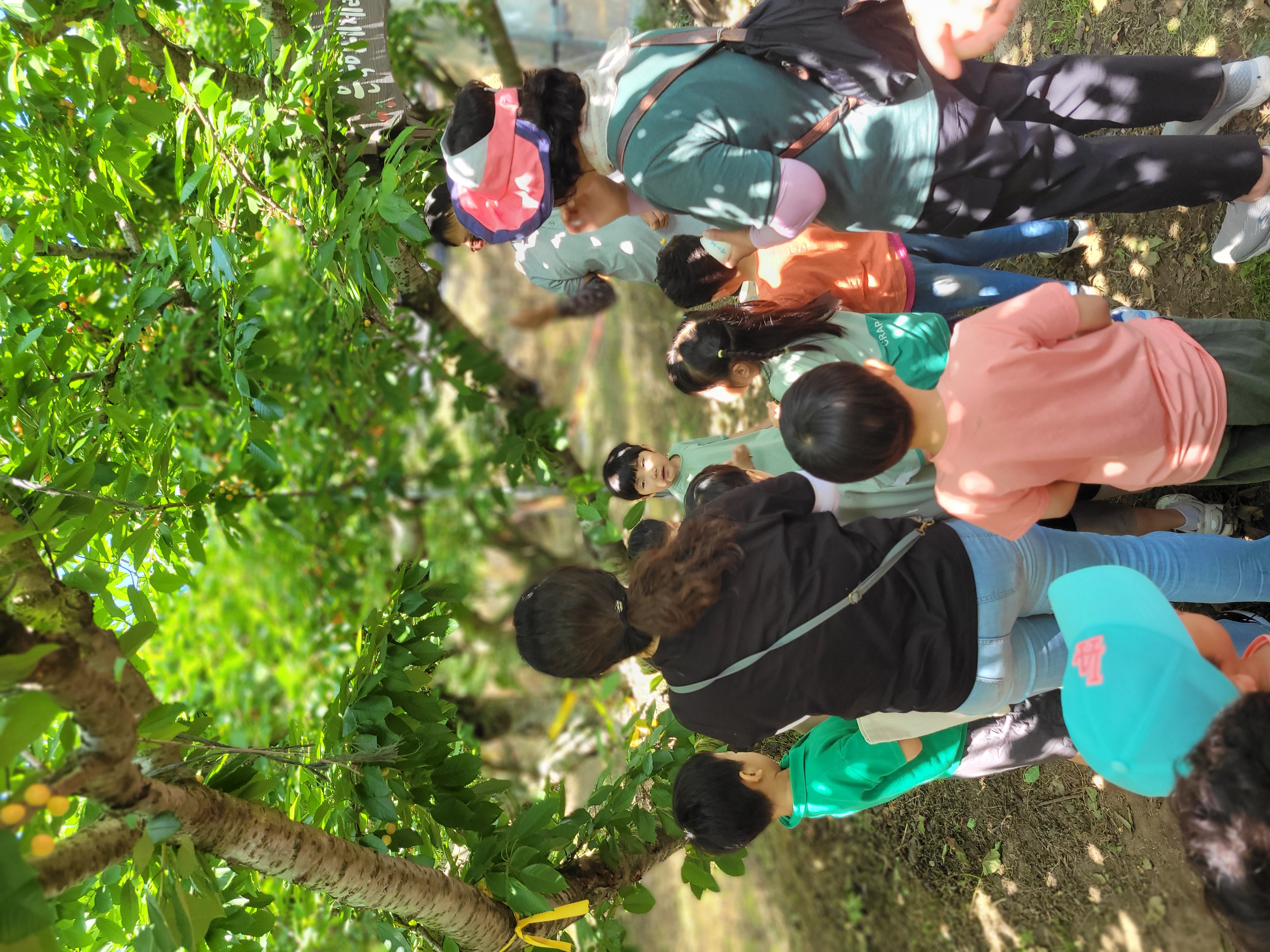 KakaoTalk_20250611_154815143_13.jpg