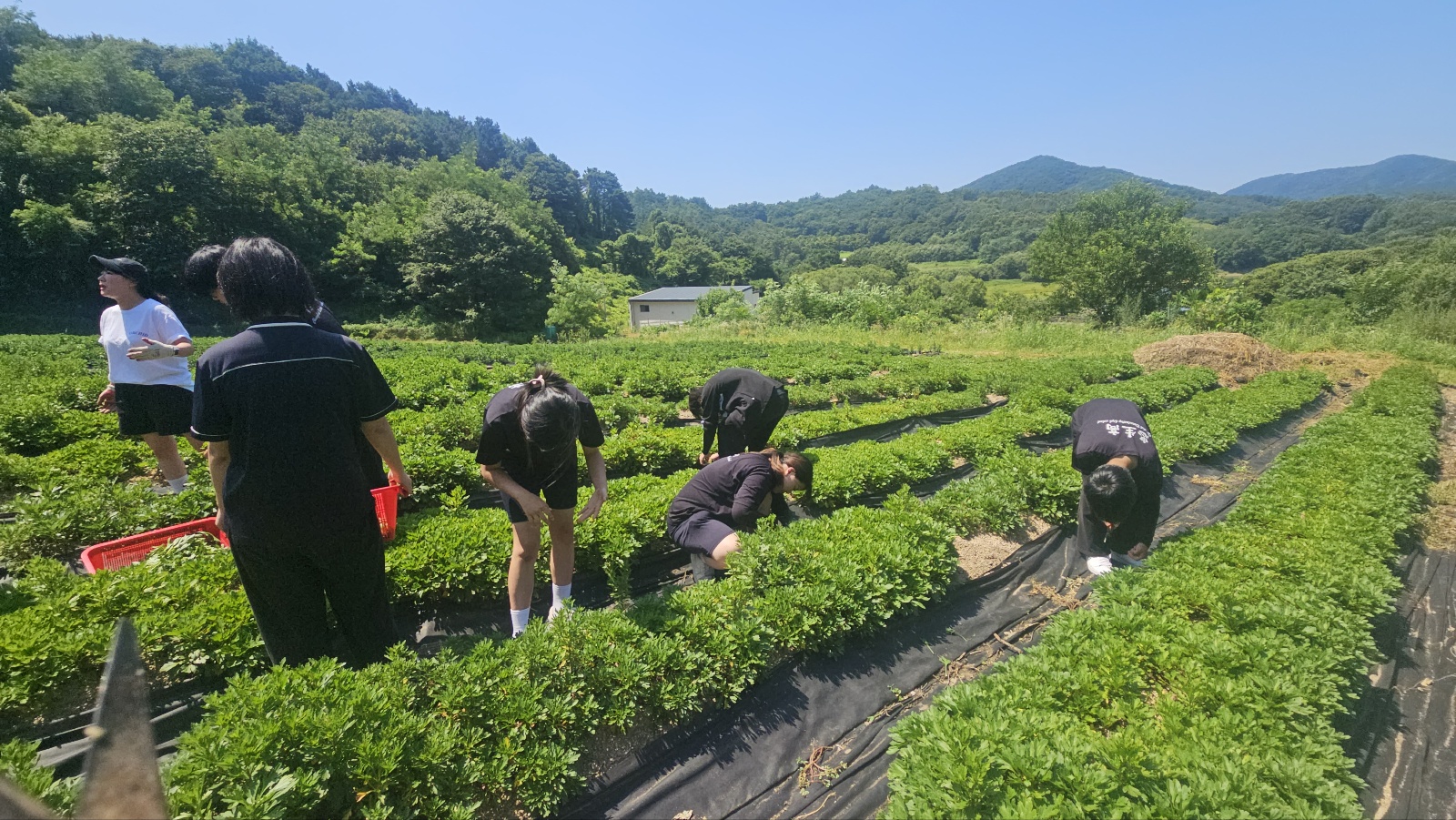 KakaoTalk_20250710_084807455_03