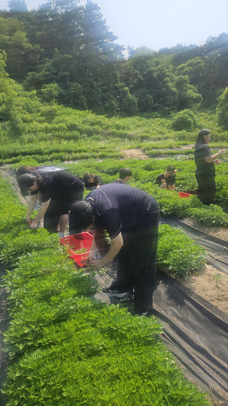 KakaoTalk_20250708_150646718_07