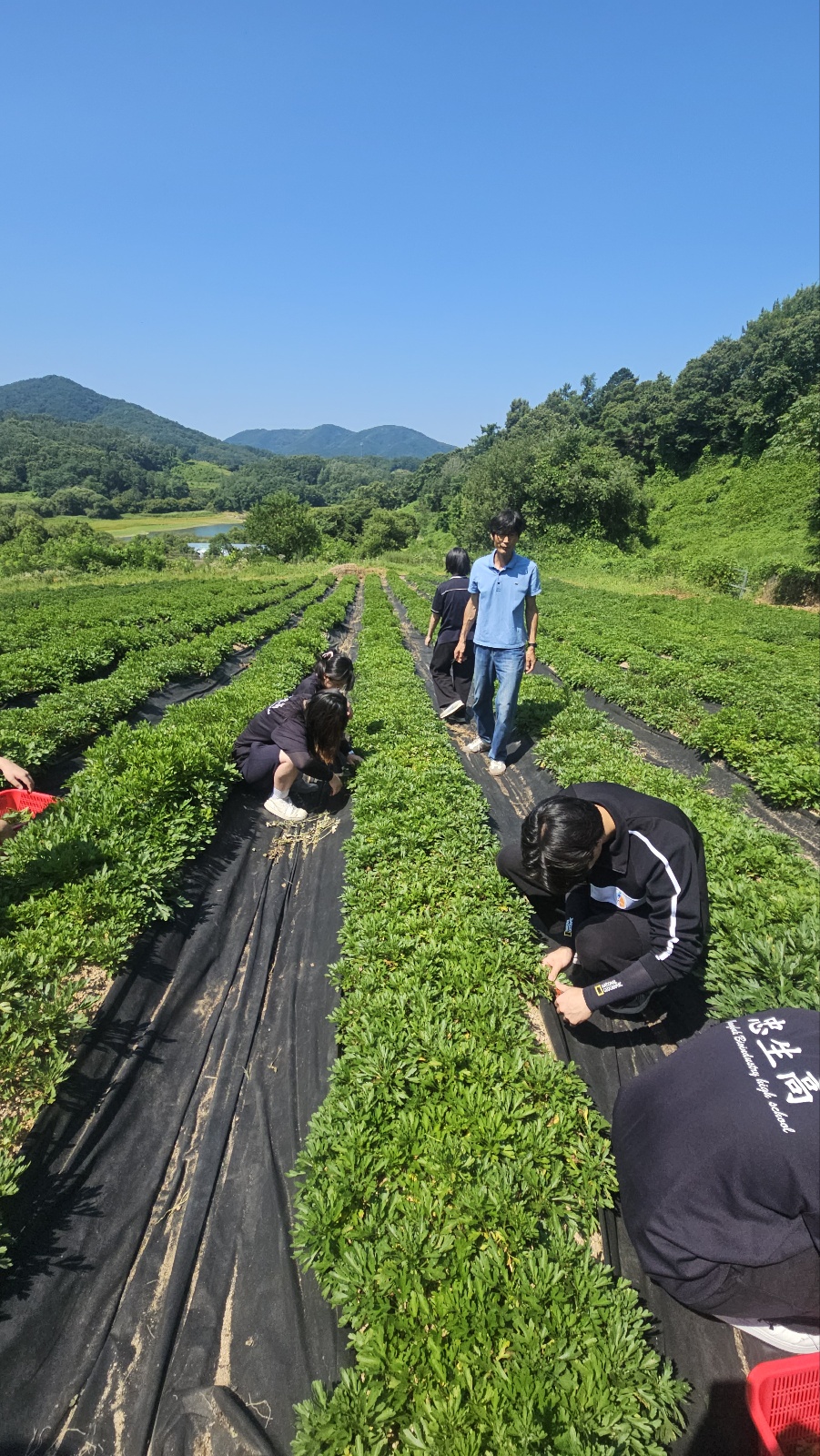KakaoTalk_20250710_084807455_06
