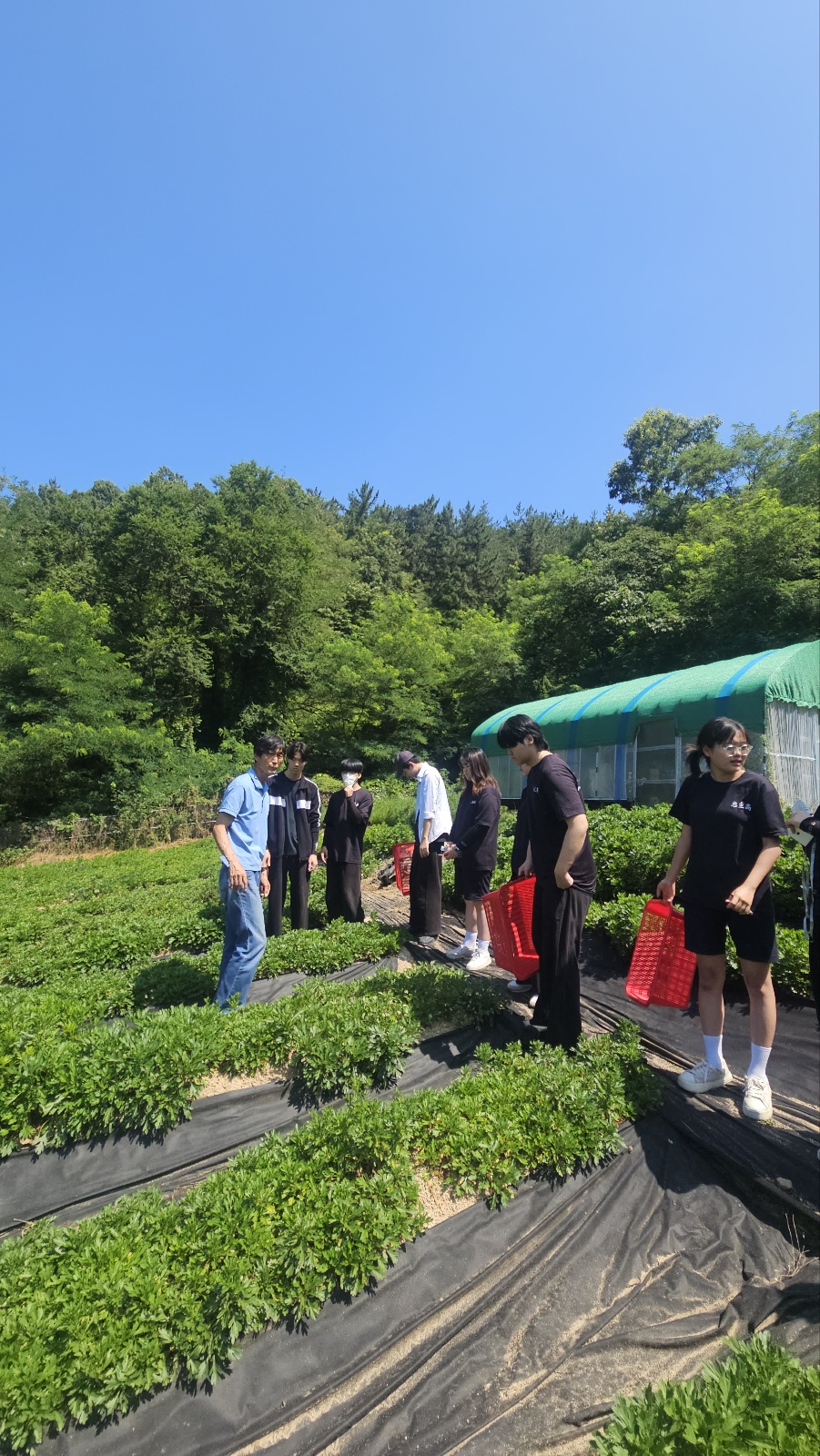 KakaoTalk_20250710_084807455_07