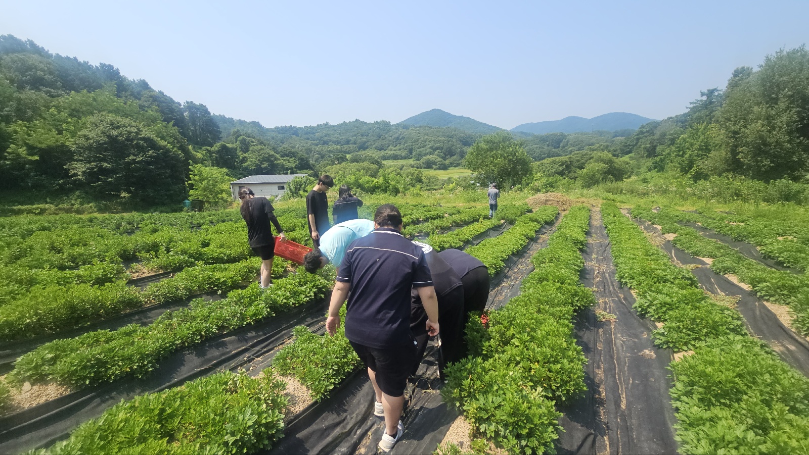 KakaoTalk_20250708_150646718_06