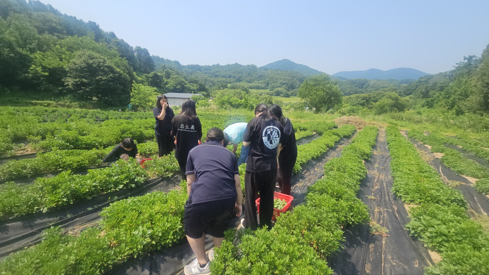 KakaoTalk_20250708_150646718_05
