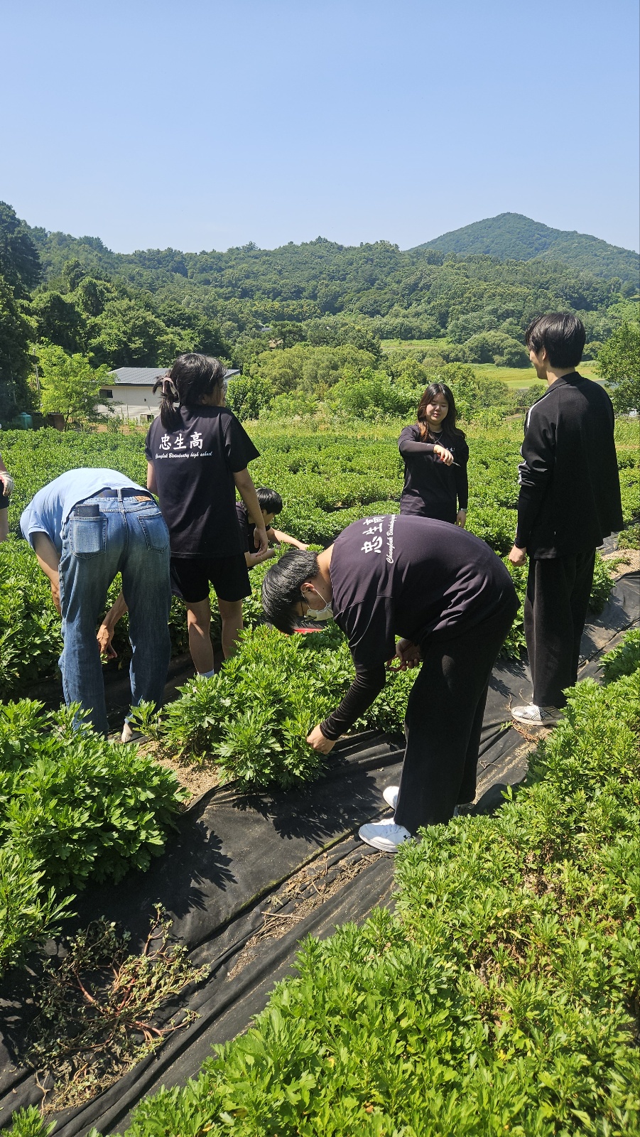 KakaoTalk_20250710_084807455_05