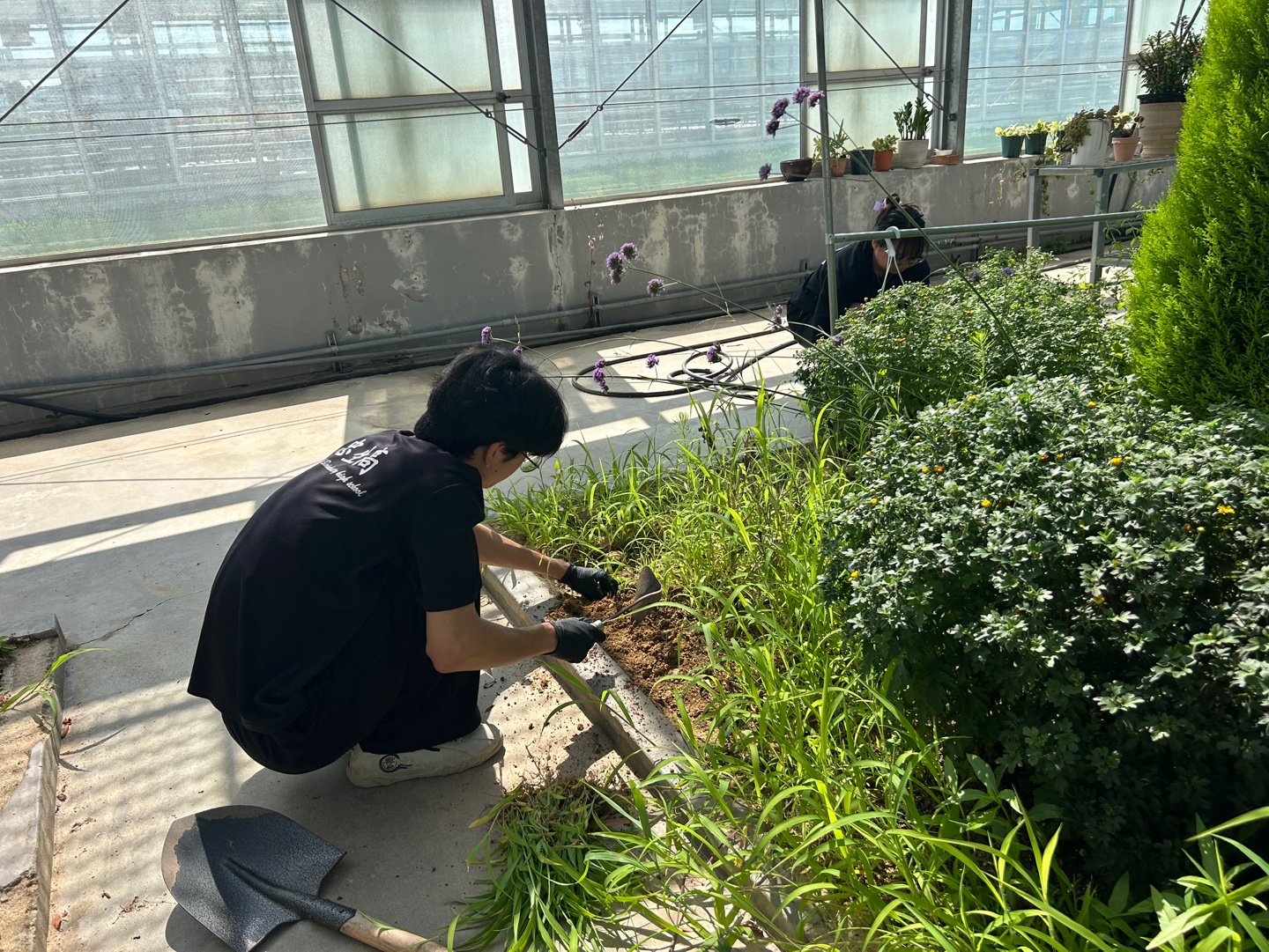 KakaoTalk_20250715_104602806_02