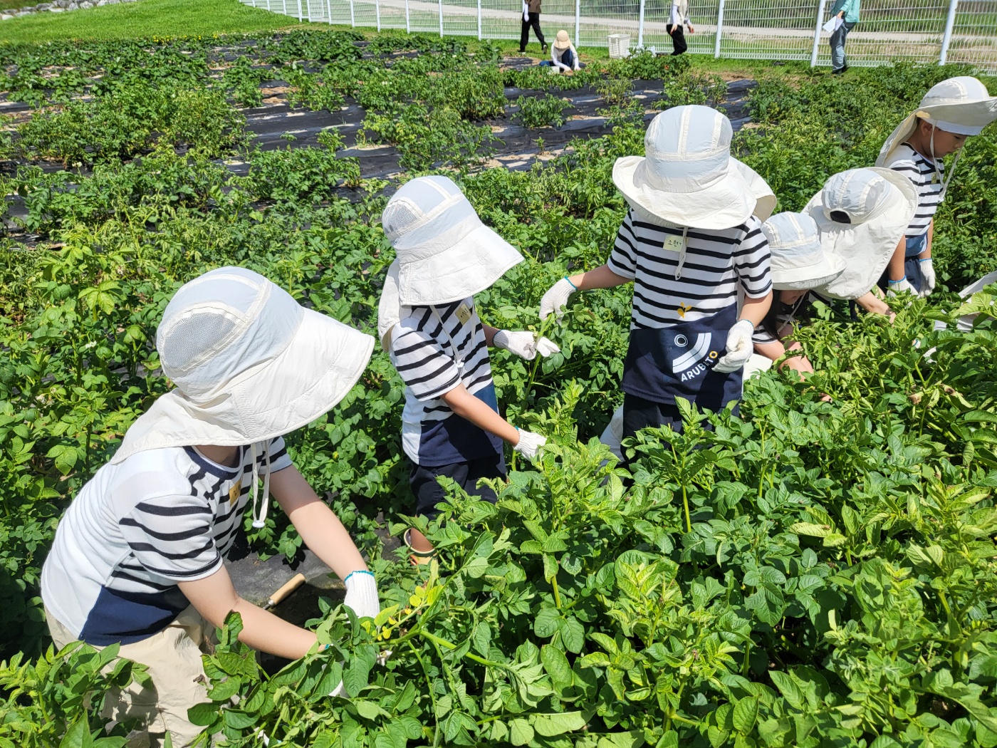 KakaoTalk_20250630_141646290.jpg