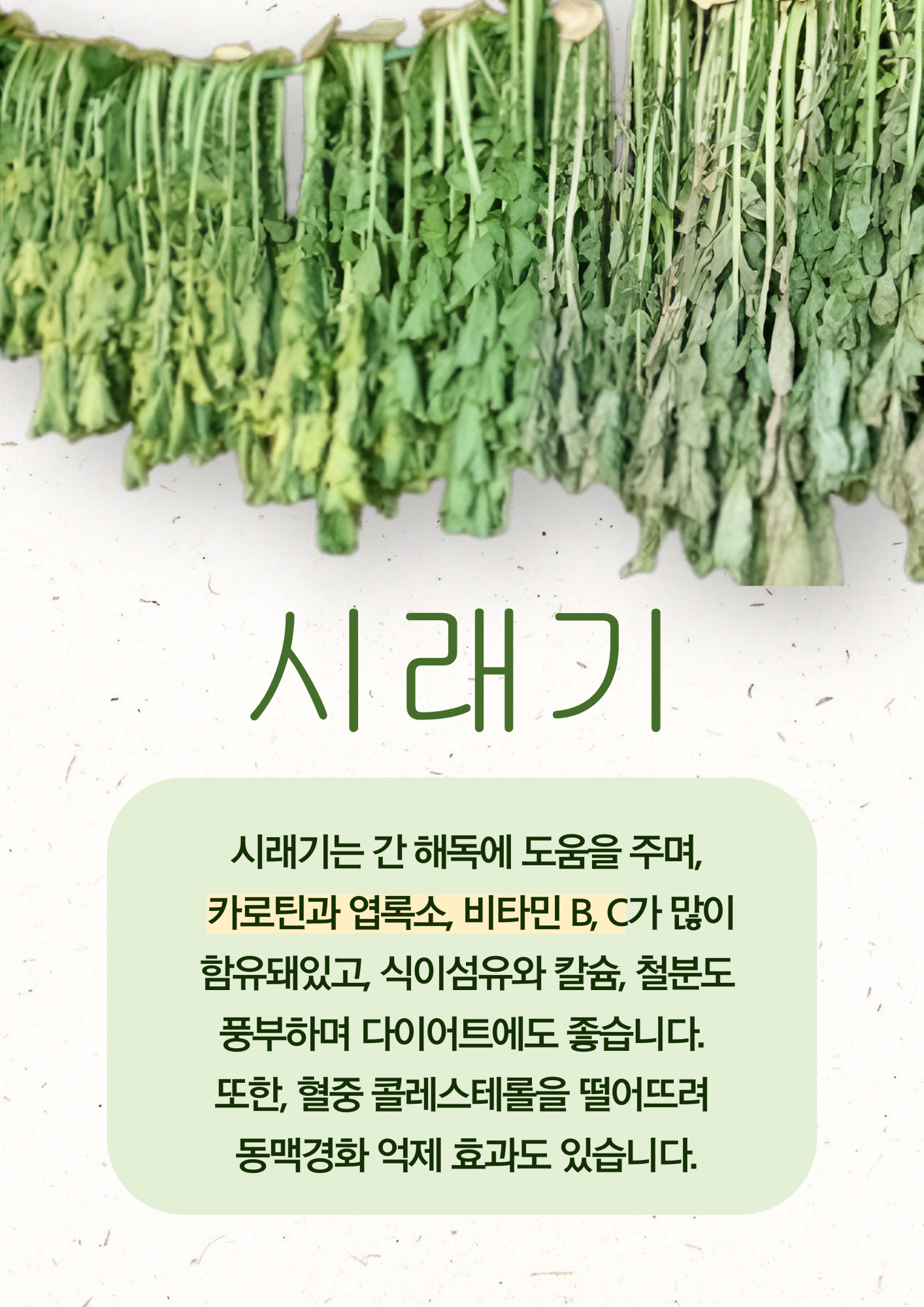 시래기(7.14.)