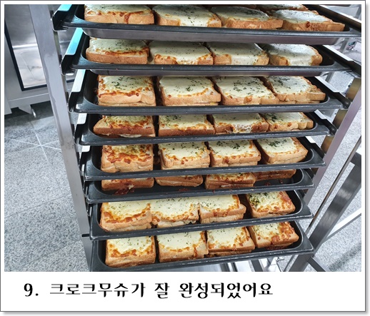 크로크9