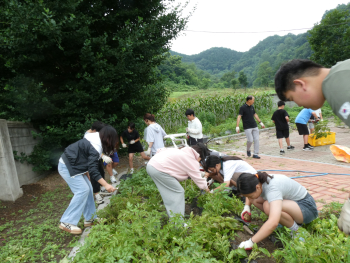 P1000273.JPG