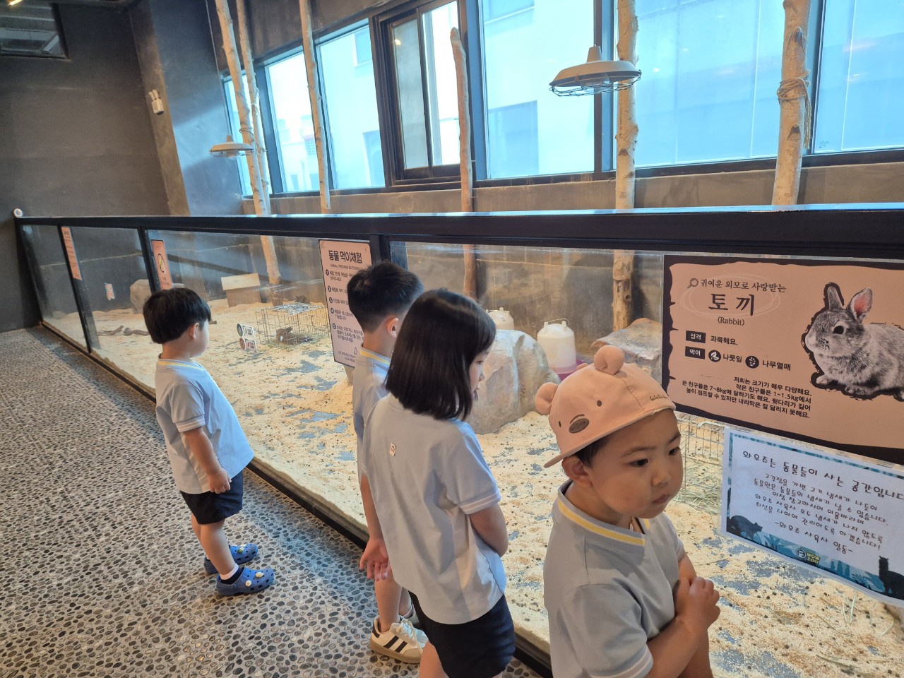 KakaoTalk_20250730_065455662_02