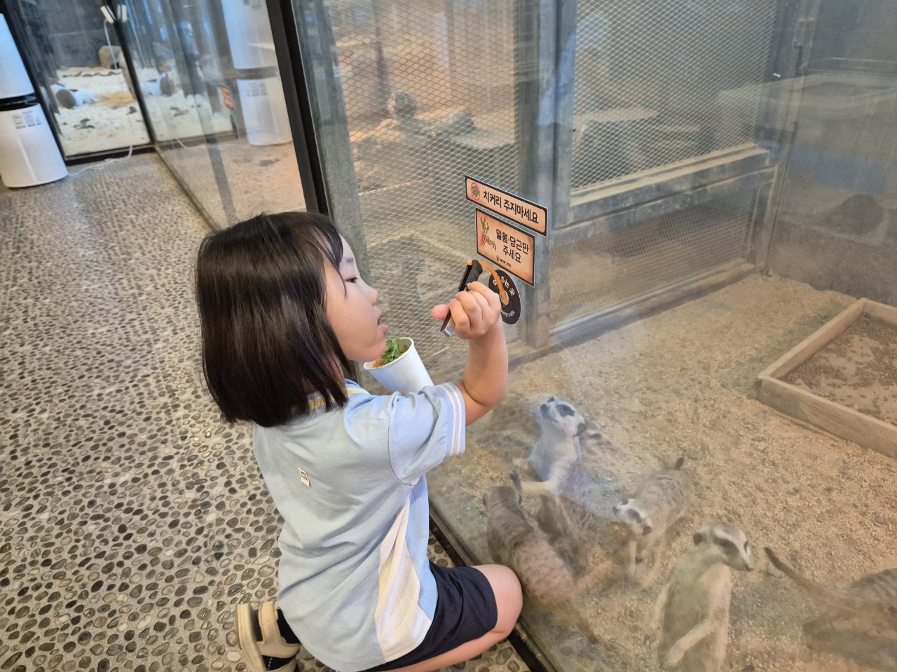 KakaoTalk_20250730_065455662_13