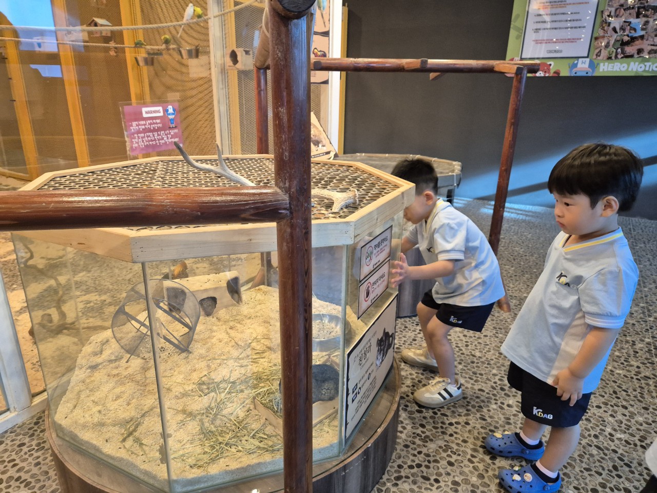 KakaoTalk_20250730_065455662_01
