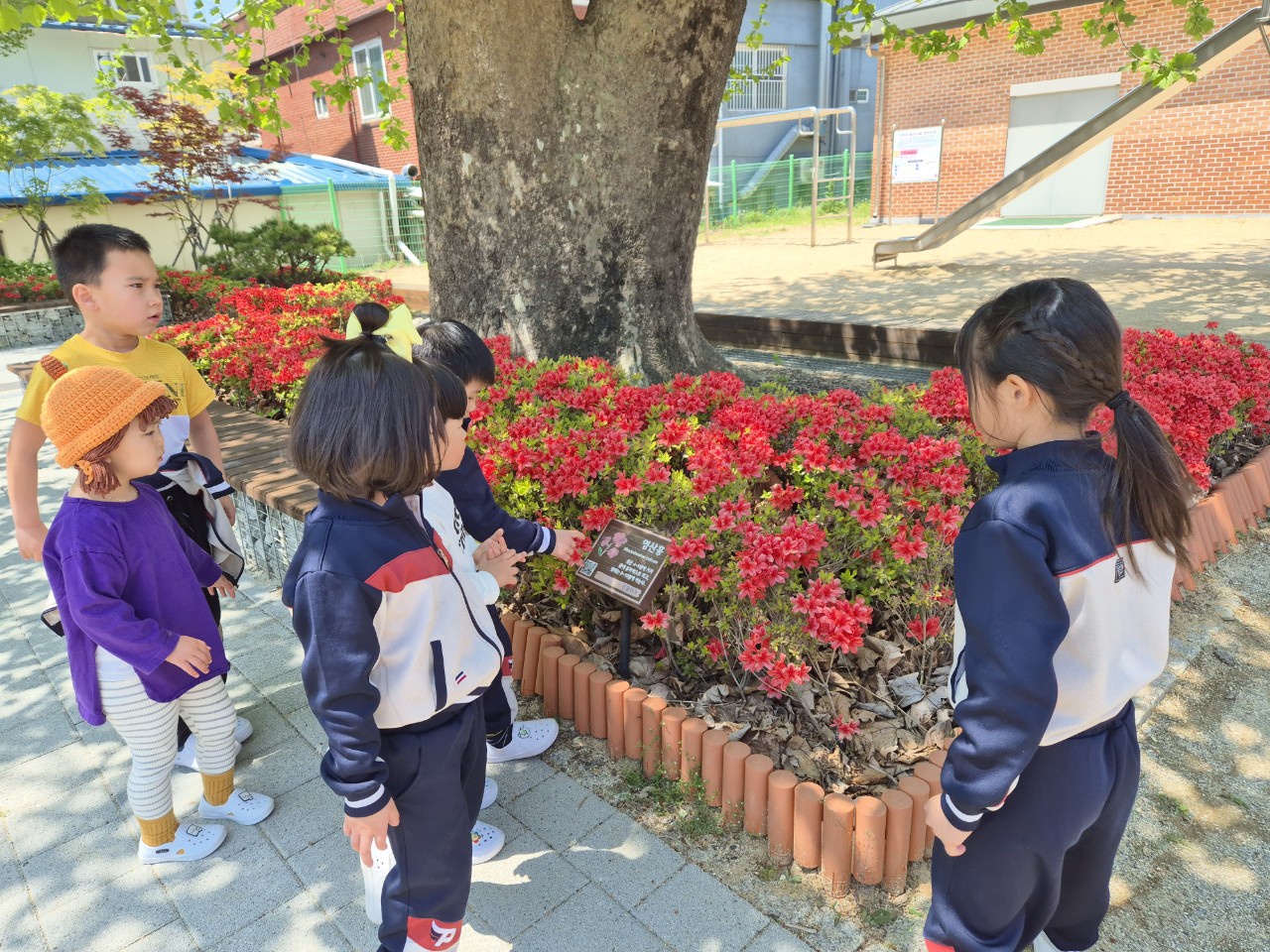KakaoTalk_20250724_144413792_03