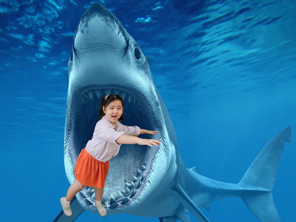 슬라이드10