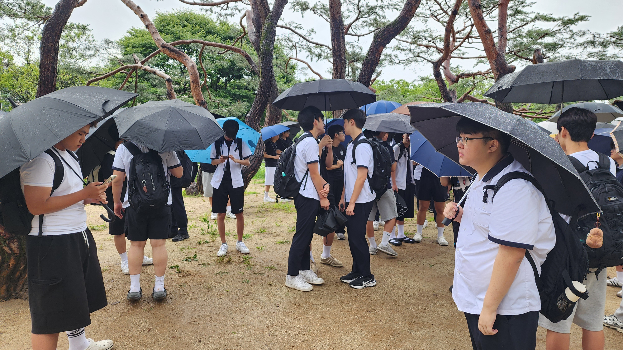 KakaoTalk_20250715_122609128_05