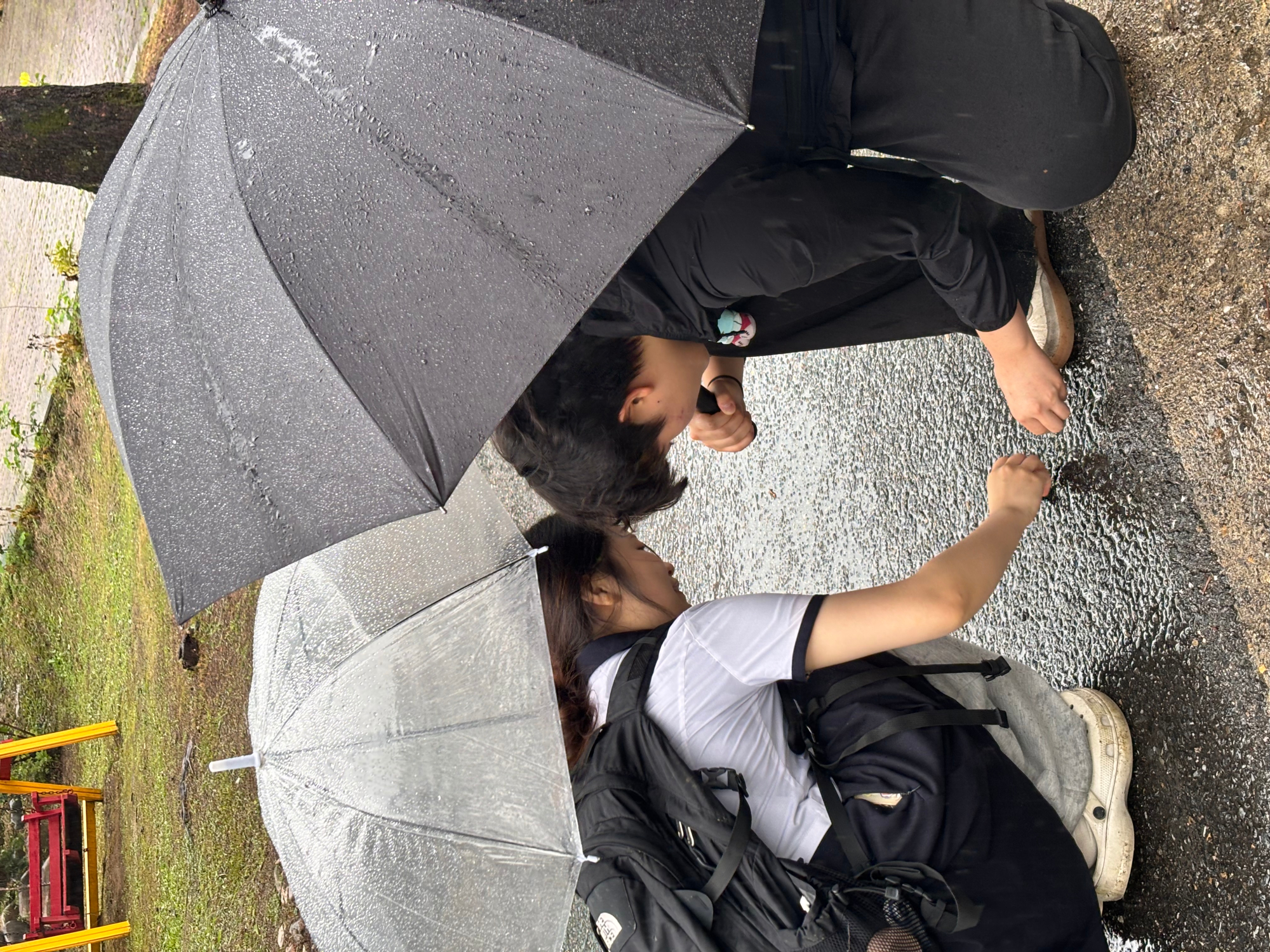 KakaoTalk_20250715_122643627