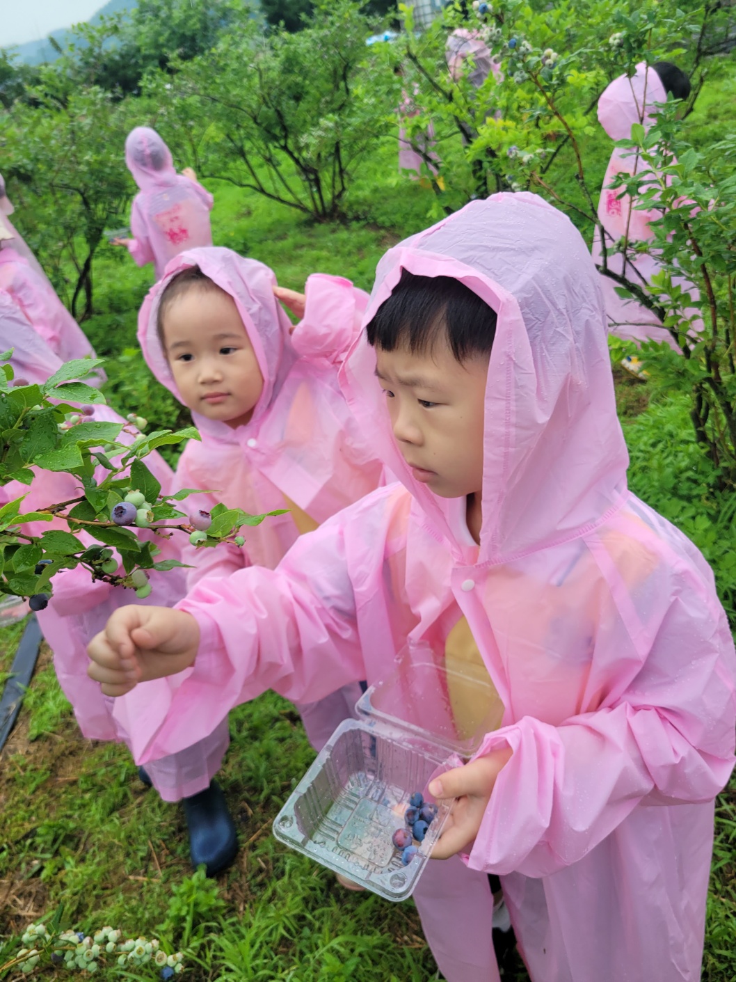 KakaoTalk_20250620_151838635_11.jpg